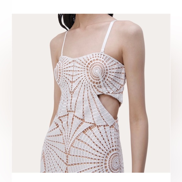 SIMKHAI
Jamie Fossil Guipure Combo Midi Dress in white -  NWT - size 6 - Picture 7 of 12